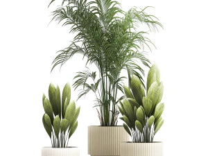Beautiful palm plants and bushes in flower pots 1343 3D Model