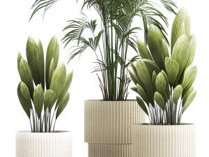Beautiful palm plants and bushes in flower pots 1343 3D Model