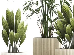 Beautiful palm plants and bushes in flower pots 1343 3D Model