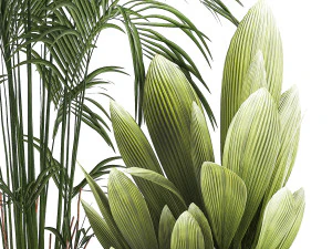 Beautiful palm plants and bushes in flower pots 1343 3D Model