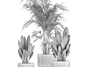 Beautiful palm plants and bushes in flower pots 1343 3D Model