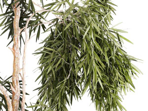 Beautiful weeping willow tree Olive in flowerpot 1346 3D Model