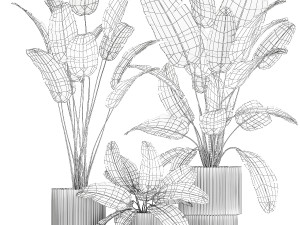 Beautiful Strelitzia and banana palm plants in flower pots 1347 Model 3D