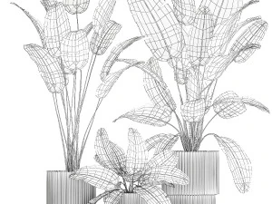 Beautiful Strelitzia and banana palm plants in flower pots 1347 3D Model