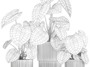 Beautiful Anthurium and Alocasia plants in flower pots 1348 Modello 3D