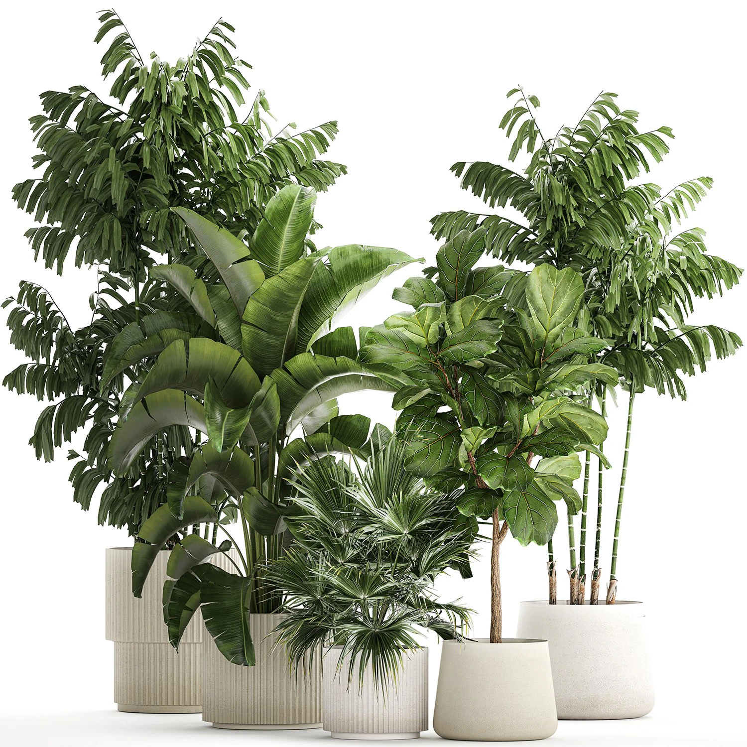 Beautiful plants Ficus palm Strelitzia in flower pots 1351 3D Model .c4d .max .obj .3ds .fbx .stl .blend 