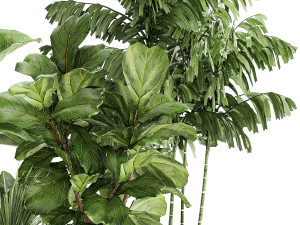 Beautiful plants Ficus palm Strelitzia in flower pots 1351 3D Model