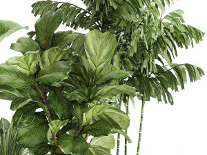 Beautiful plants Ficus palm Strelitzia in flower pots 1351 3D Model