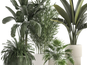 Beautiful plants Bamboo palm banana in flower pots 1352 3D Model