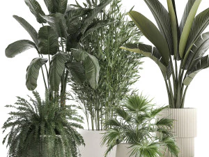 Beautiful plants Bamboo palm banana in flower pots 1352 3D Model