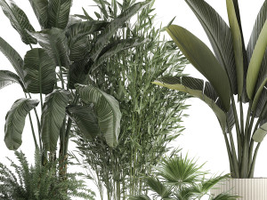 Beautiful plants Bamboo palm banana in flower pots 1352 Model 3D