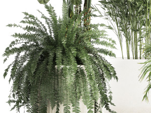 Beautiful plants Bamboo palm banana in flower pots 1352 Model 3D