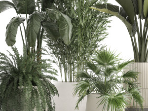 Beautiful plants Bamboo palm banana in flower pots 1352 Model 3D