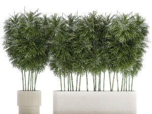 Beautiful plant bush Bamboo in pots 1354 Model 3D