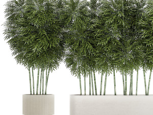 Beautiful plant bush Bamboo in pots 1354 Model 3D