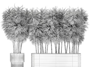 Beautiful plant bush Bamboo in pots 1354 Model 3D