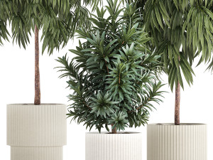 Beautiful Plants Ficus Alii Tree Oleander In Pots 1357 Model 3D