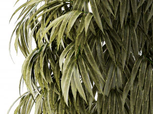 Beautiful Ficus Alii lavender plants in basket and pot 1358 3D Model