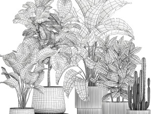 Set of beautiful plants Strelitzia Ficus Cereus in pots 1359 3D 모델