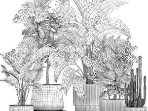 Set of beautiful plants Strelitzia Ficus Cereus in pots 1359 3D Model