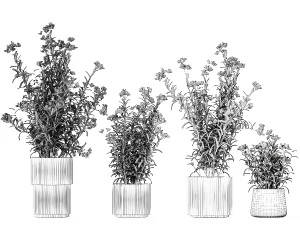 Bellissimi cespugli di piante con fiori bianchi di Nerium oleander in vaso 1360 Modello 3D