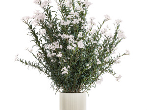 Beautiful plant bushes with white Nerium oleander flowers in pots 1361 Modelo 3D