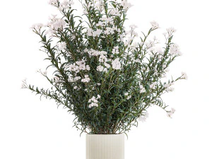 Bellissimi cespugli di piante con fiori bianchi di Nerium oleander in vaso 1361 Modello 3D