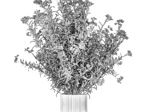Bellissimi cespugli di piante con fiori bianchi di Nerium oleander in vaso 1361 Modello 3D