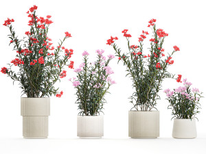 Beautiful plants with pink Nerium oleander flowers in pots 1362 3Dモデル