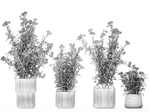 Beautiful plants with pink Nerium oleander flowers in pots 1362 3Dモデル
