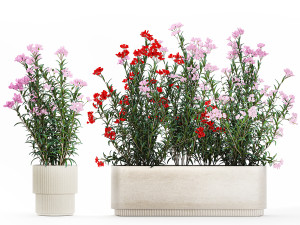 Beautiful plants with red Nerium oleander flowers in pots 1364 Modelo 3D
