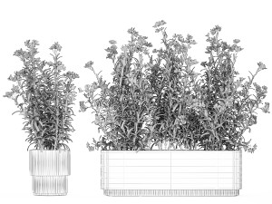 Beautiful plants with red Nerium oleander flowers in pots 1364 Modelo 3D