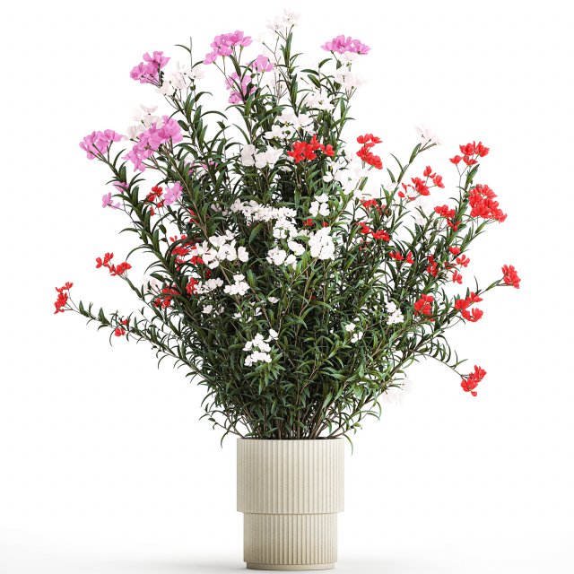 Beautiful red pink Nerium oleander flowers in pots 1365 Modelo 3D .c4d .max .obj .3ds .fbx .stl .blend 