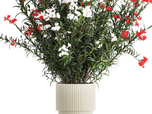 Beautiful red pink Nerium oleander flowers in pots 1365 Modelo 3D