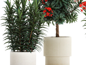 Beautiful plants red flowers Nerium oleander in pots 1367 3Dモデル