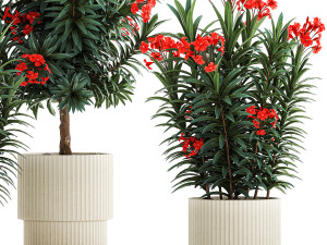 Beautiful plants red flowers Nerium oleander in pots 1367 3Dモデル