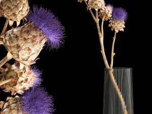 Beautiful bouquet of thistle dried flowers in a glass vase 290 3D Model