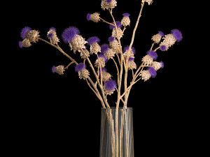 Beautiful bouquet of thistle dried flowers in a glass vase 291 Modello 3D