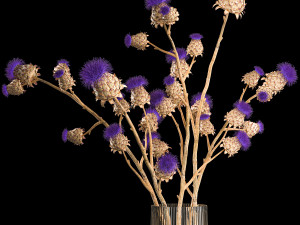Beautiful bouquet of thistle dried flowers in a glass vase 291 Modello 3D