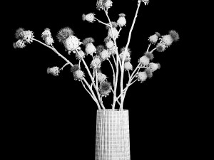 Beautiful bouquet of thistle dried flowers in a glass vase 291 Modello 3D
