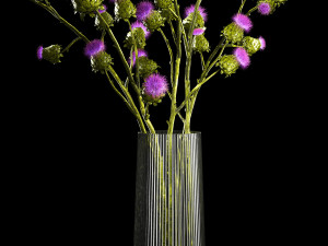 Beautiful bouquet of dried Thistle thorn flowers in a glass vase 292 Model 3D