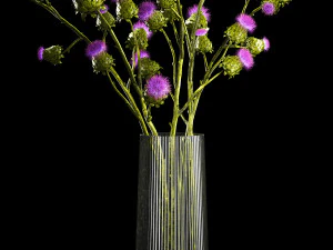Beautiful bouquet of dried Thistle thorn flowers in a glass vase 292 3D Model