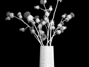 Beautiful bouquet of dried Thistle thorn flowers in a glass vase 292 Model 3D