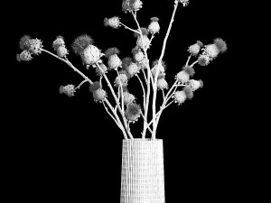 Beautiful bouquet of dried Thistle thorn flowers in a glass vase 292 3D Model