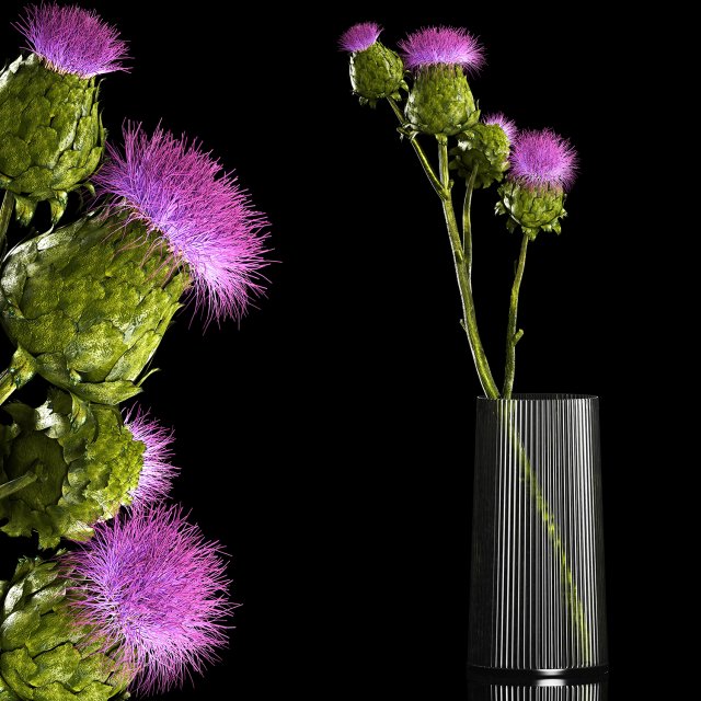 Beautiful bouquet of dried Thistle thorn flowers in a glass vase 292 Modello 3D .c4d .max .obj .3ds .fbx .stl .blend 