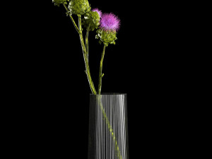 Beautiful bouquet of dried Thistle thorn flowers in a glass vase 292 Modello 3D