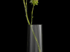 Beautiful bouquet of dried Thistle thorn flowers in a glass vase 292 Modello 3D