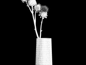 Beautiful bouquet of dried Thistle thorn flowers in a glass vase 292 Modello 3D