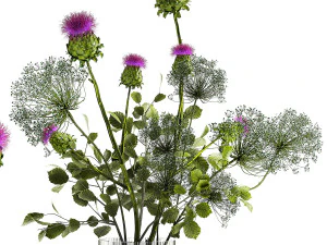 Bellissimo mazzo di cardo spinoso di Eracleo in vaso di vetro 294 Modello 3D