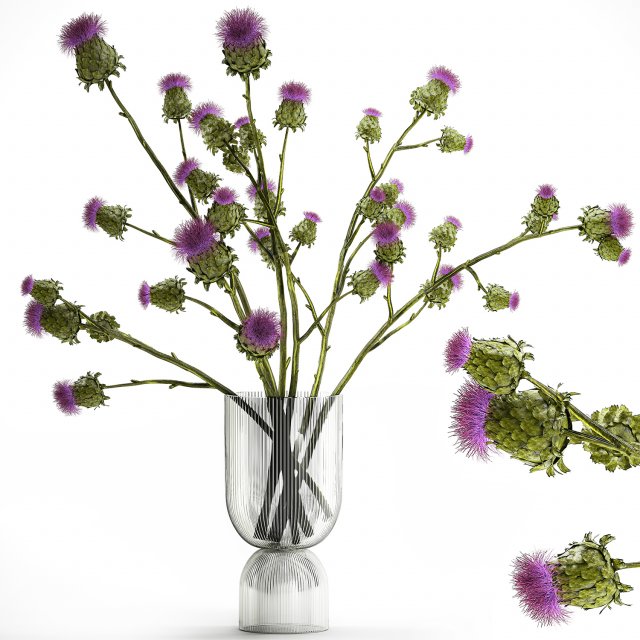 Beautiful green bouquet of Thistle thorn in a glass vase 295 Modèle 3D .c4d .max .obj .3ds .fbx .stl .blend 